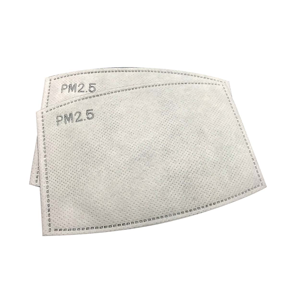 Activated Carbon Filters PM 25 10 Filters